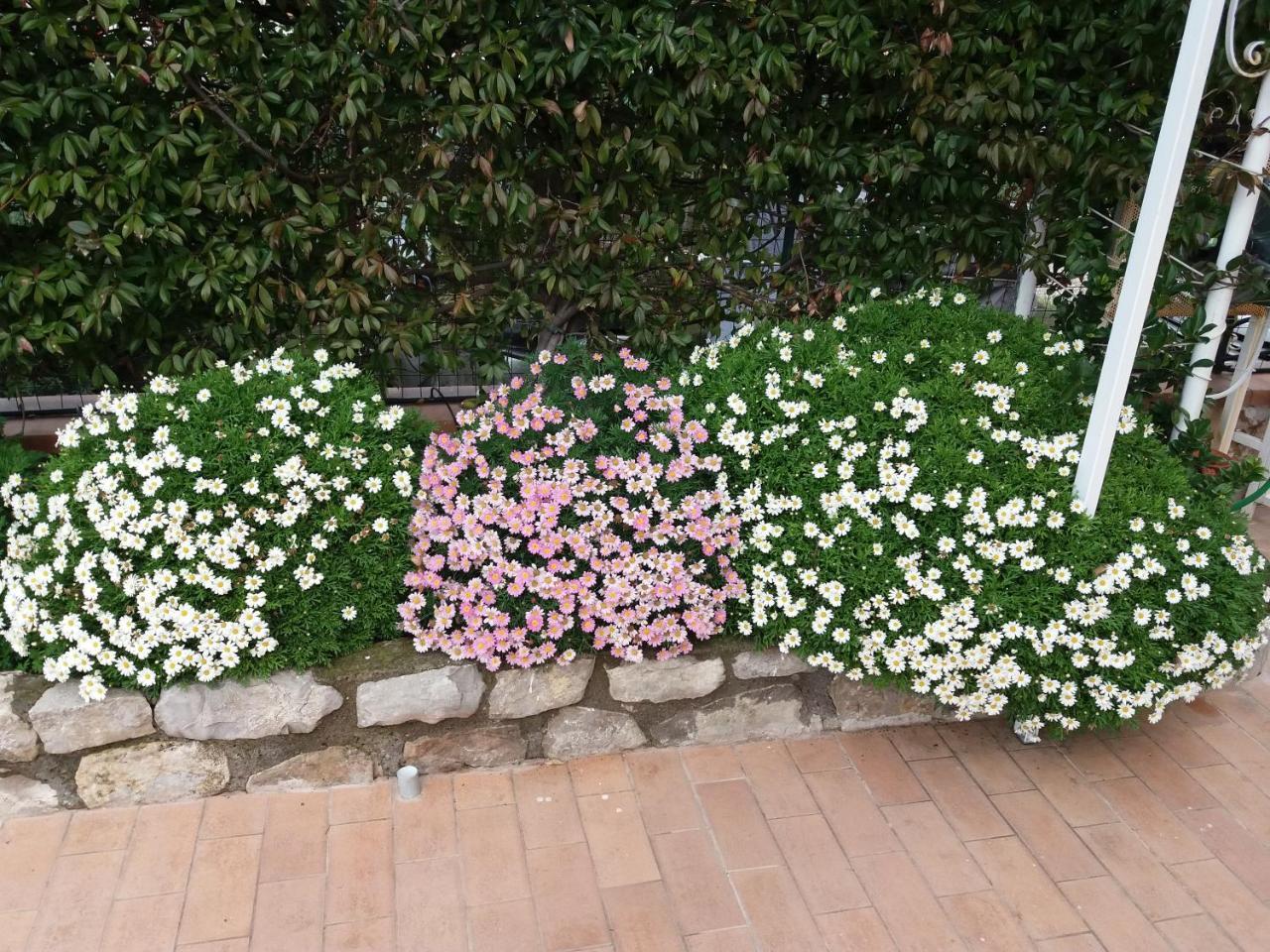 Garden On The Sea Bed & Breakfast Vico Equense Dış mekan fotoğraf